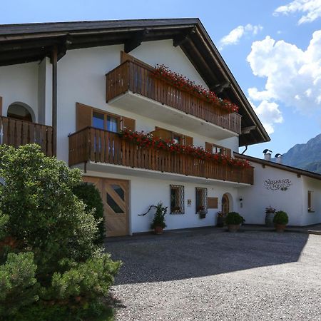 Appartements Weisshauserhof Appiano sulla Strada del Vino Kültér fotó